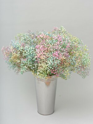 Букет из радужной гипсофилы